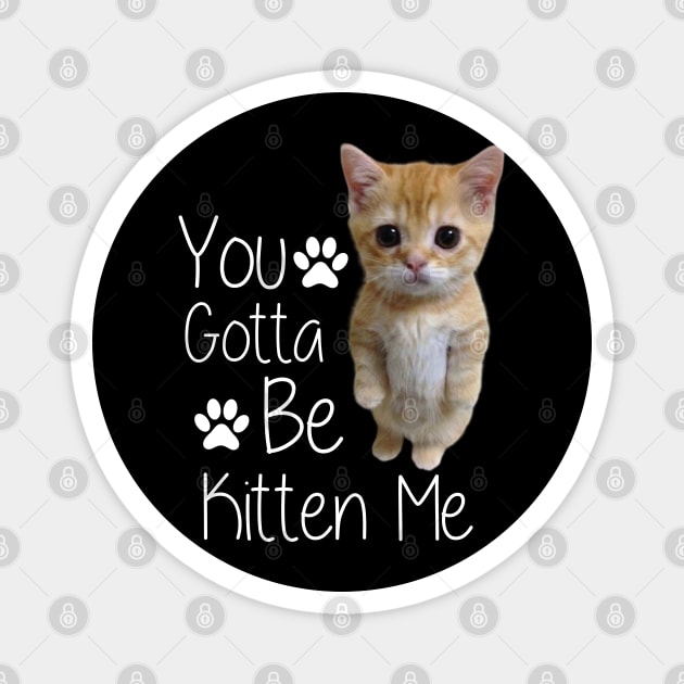 You Gotta Be Kitten Me Funny Cat Magnet by DonVector